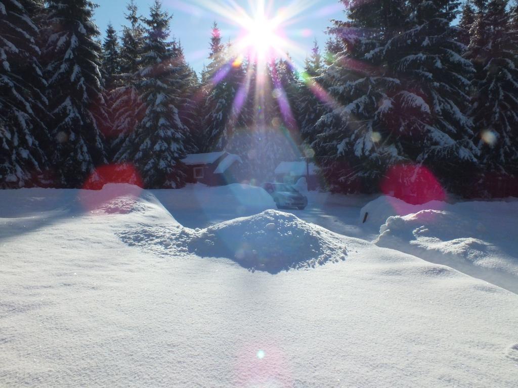 Chaty Jasna Demänovská Dolina Dış mekan fotoğraf