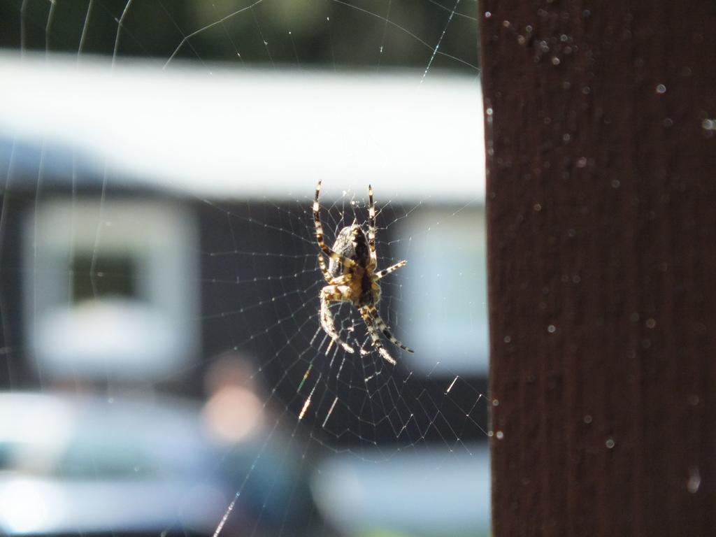Chaty Jasna Demänovská Dolina Dış mekan fotoğraf